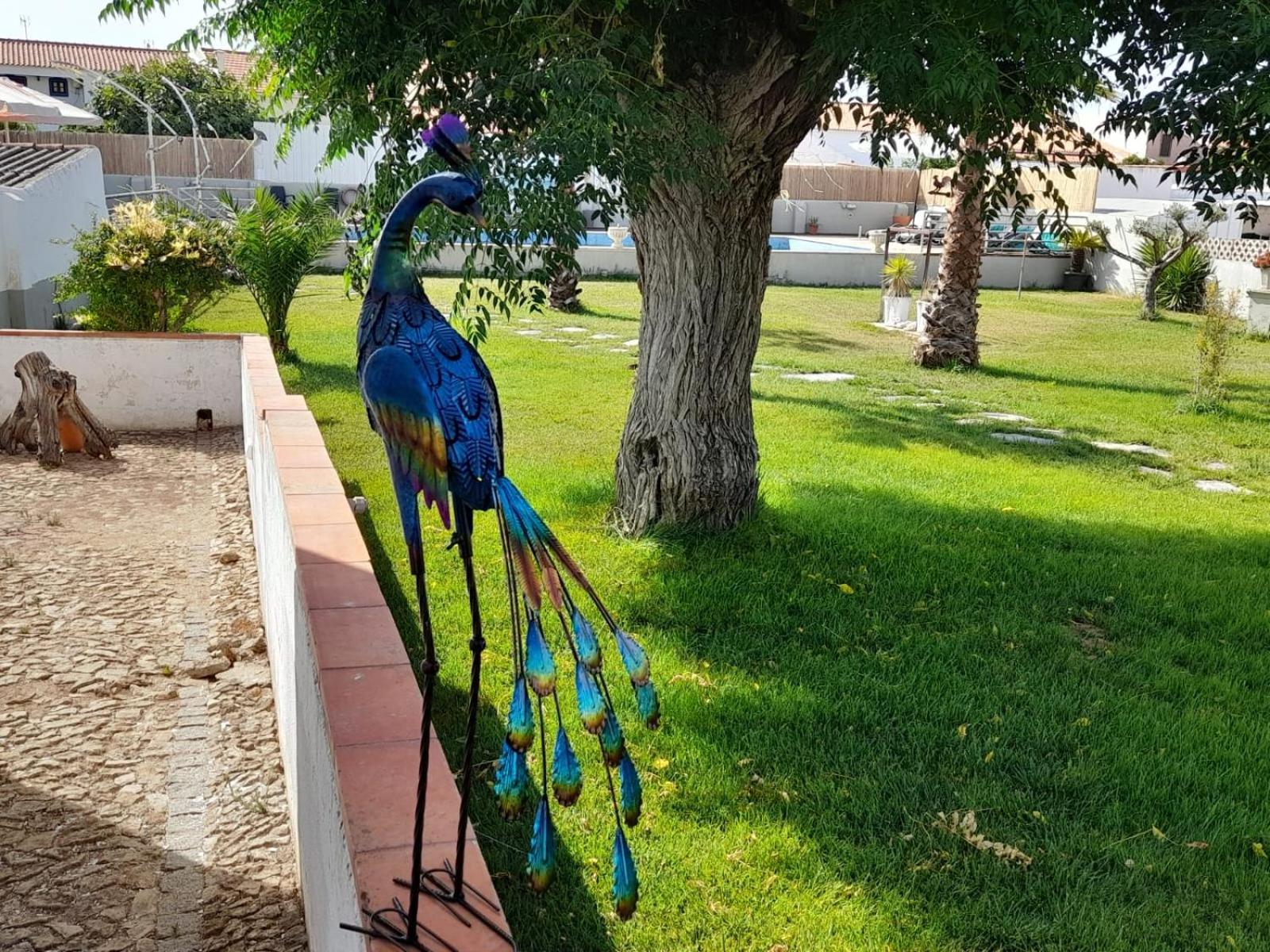 Pateo Do Morgado - Turismo De Habitacao Panzió Casa Branca Kültér fotó